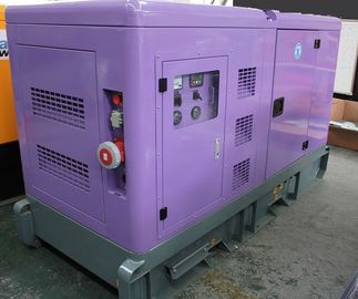 Silent 30kva Natural Gas Powered Generator , 25kw Biogas Generator